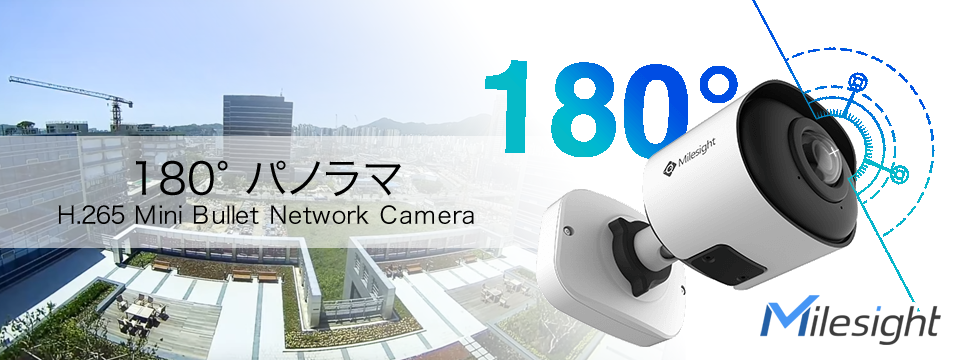 180°パノラマ H.265 Mini Bullet Network Camera